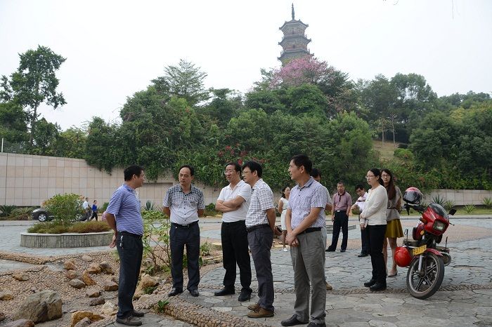 吳善平率隊(duì)到市博物館檢查創(chuàng)文迎檢工作